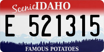 ID license plate E521315