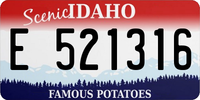 ID license plate E521316
