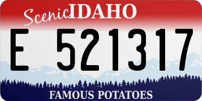 ID license plate E521317