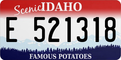 ID license plate E521318