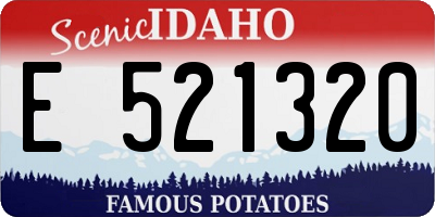 ID license plate E521320