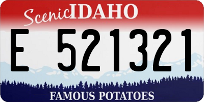 ID license plate E521321