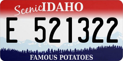 ID license plate E521322