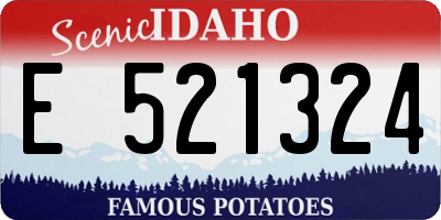 ID license plate E521324