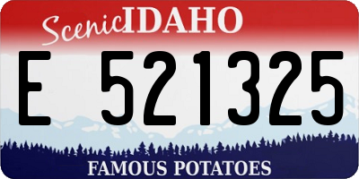 ID license plate E521325