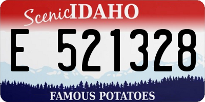 ID license plate E521328