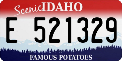 ID license plate E521329