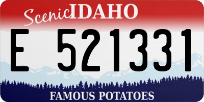 ID license plate E521331