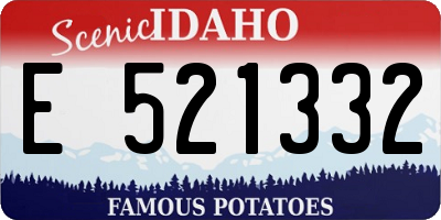 ID license plate E521332