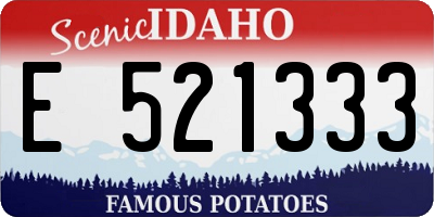 ID license plate E521333