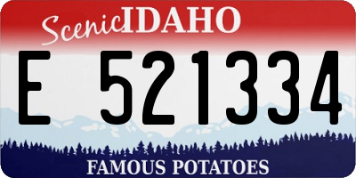 ID license plate E521334