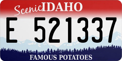 ID license plate E521337