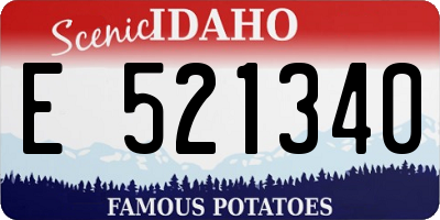 ID license plate E521340
