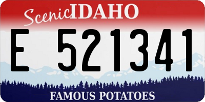 ID license plate E521341