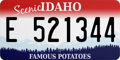 ID license plate E521344