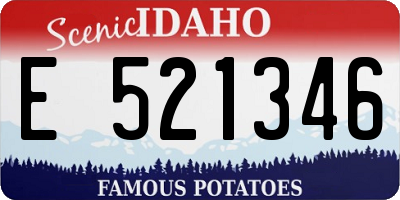 ID license plate E521346