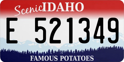 ID license plate E521349