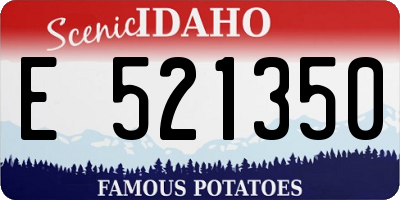 ID license plate E521350