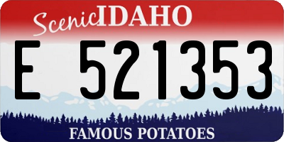 ID license plate E521353