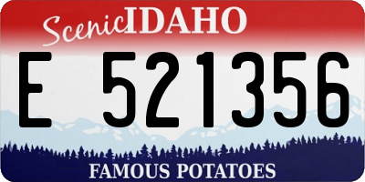ID license plate E521356