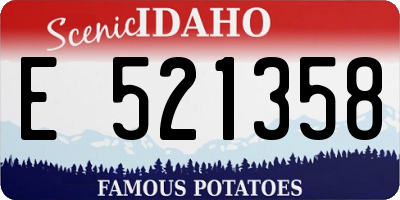 ID license plate E521358