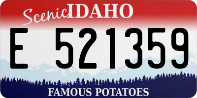 ID license plate E521359