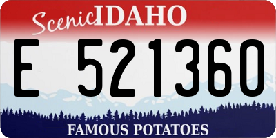 ID license plate E521360