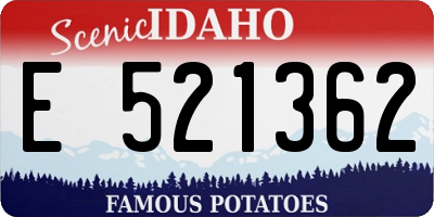 ID license plate E521362