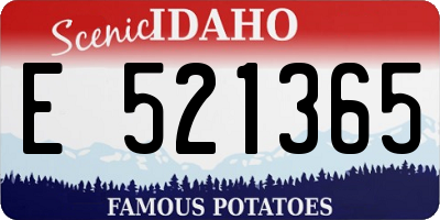 ID license plate E521365