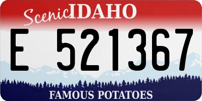 ID license plate E521367