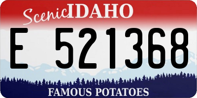 ID license plate E521368