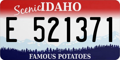 ID license plate E521371