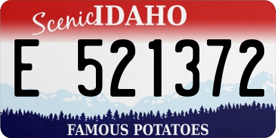 ID license plate E521372