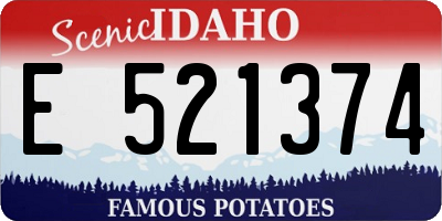 ID license plate E521374