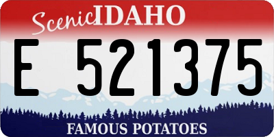 ID license plate E521375