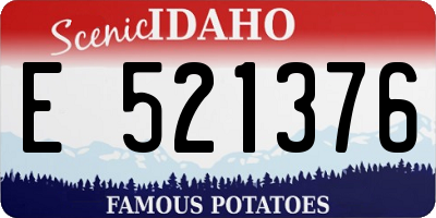 ID license plate E521376