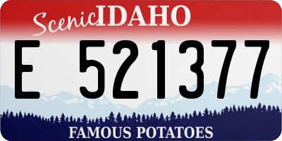 ID license plate E521377