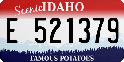 ID license plate E521379