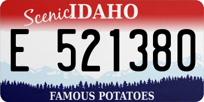 ID license plate E521380
