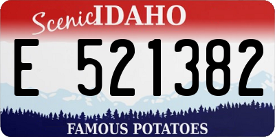 ID license plate E521382