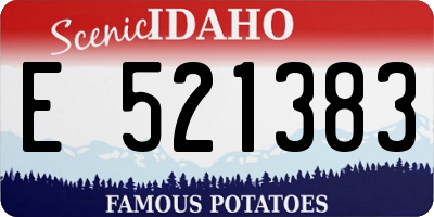 ID license plate E521383
