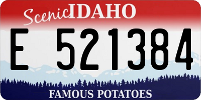 ID license plate E521384