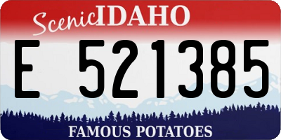 ID license plate E521385