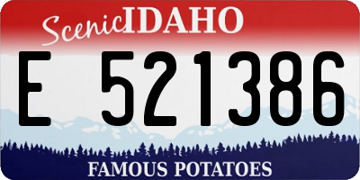 ID license plate E521386