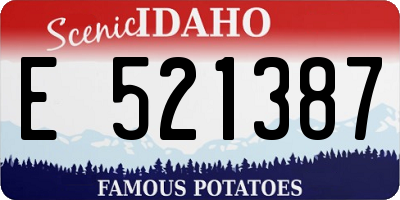 ID license plate E521387