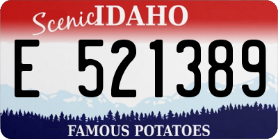 ID license plate E521389