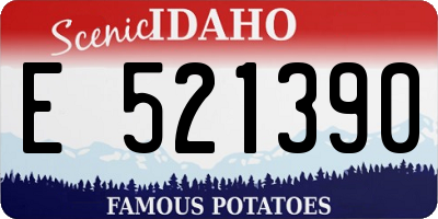 ID license plate E521390