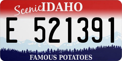 ID license plate E521391