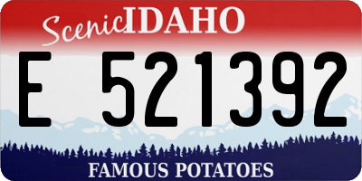 ID license plate E521392