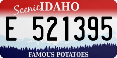 ID license plate E521395